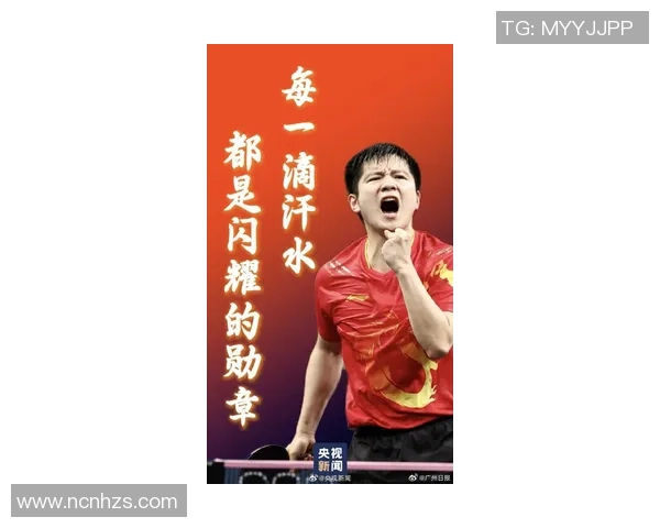 樊振东勇闯重重挑战轻舟已过万重山展现卓越实力与决心