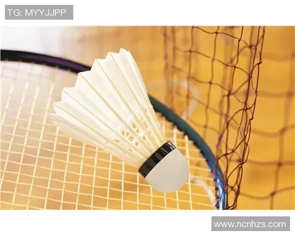 江苏农行携手威克多共创人造羽毛球赛道新辉煌